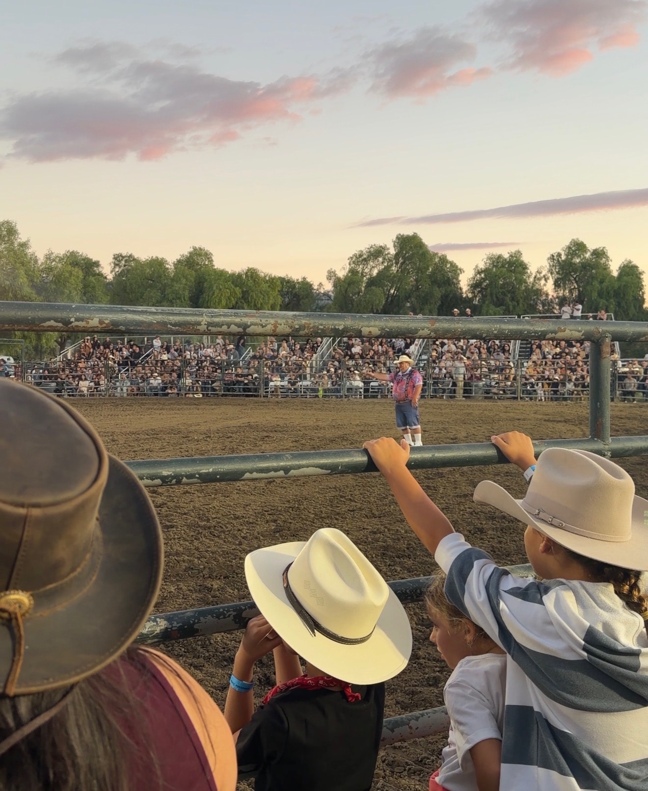 Rodeos
