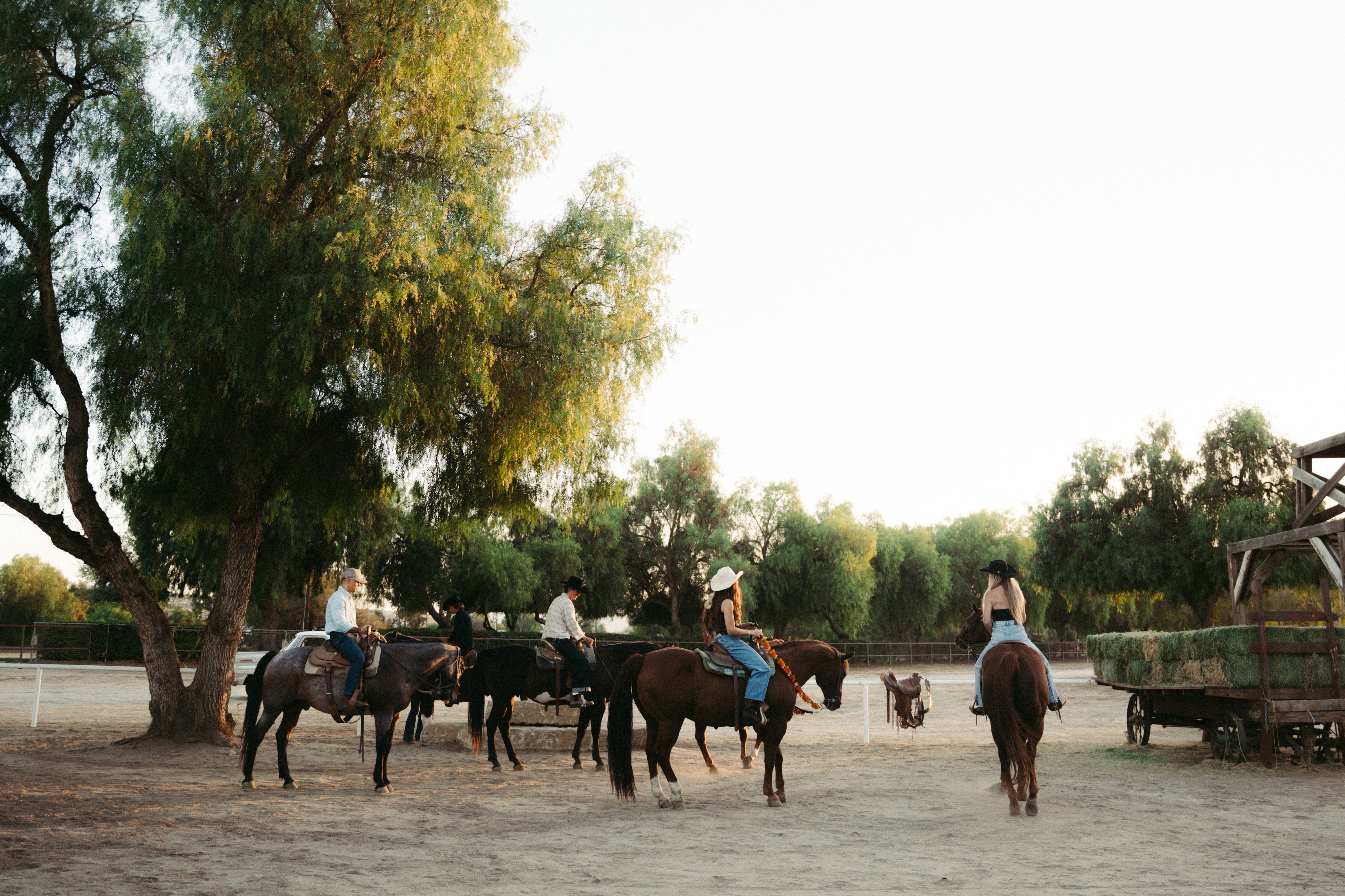 Guided Trail Ride at California Ranch Company